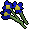 Blue flowers