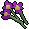 Purple flowers