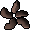 Rosewood seed