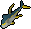 Raw yellowfin