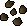 Apple tree seed