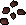 Pineapple seed