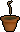 Curry sapling