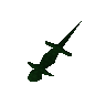 Green salamander