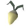 Evil turnip