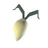 2/3 evil turnip