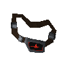 Focus sight