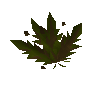 Grimy kwuarm