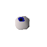 Eye of newt