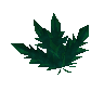 Clean lantadyme