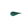 Butterfly flower seed