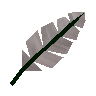 Feather