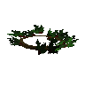 Holly wreath