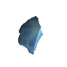 1/3 blue blubber jellyfish