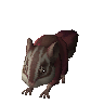 Crimson chinchompa (unchecked)