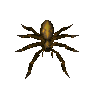 Giant spider egg (unchecked)