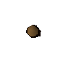 Guarana seed