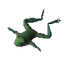 Golden poison frog (unchecked)
