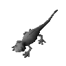 Black salamander (unchecked)