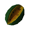 Golden watermelon