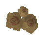 Golden roses