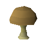 Bittercap mushroom