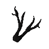 Jackalope antlers