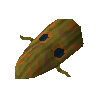 Broodoo shield (10)