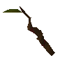 Beginner wand